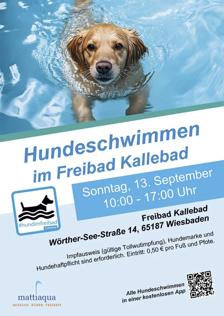 Plakat vom Hundeschwimmen, oben ist ein schwimmender Hund zu sehen und darunter steht Text