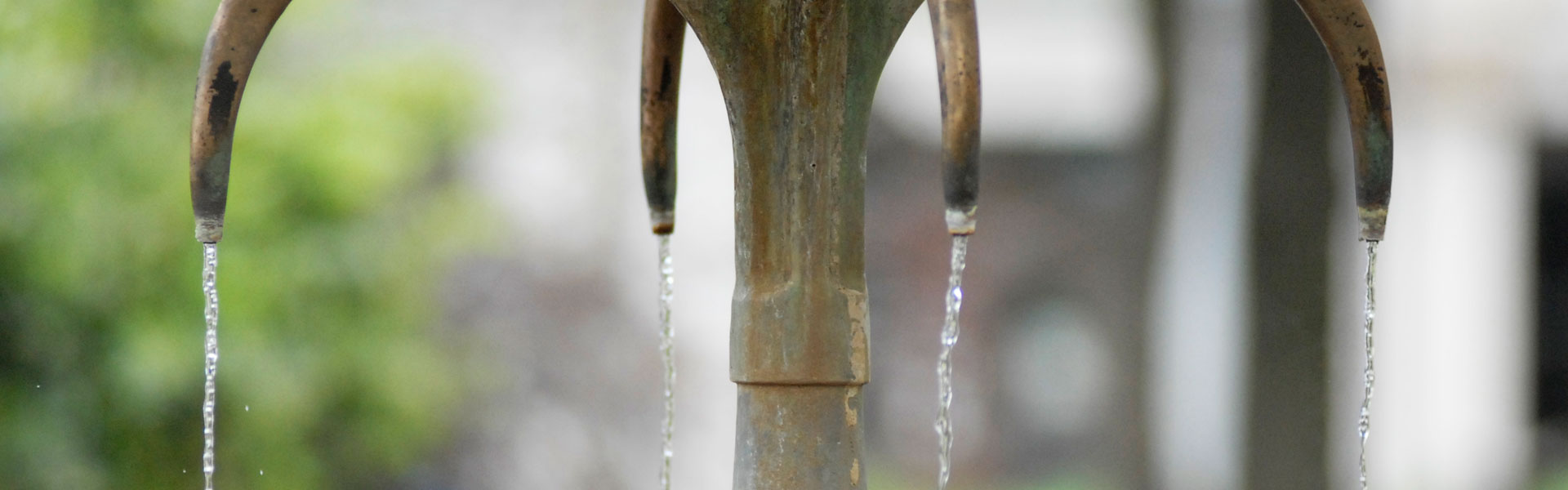 Detail der Kochbrunnenquelle.