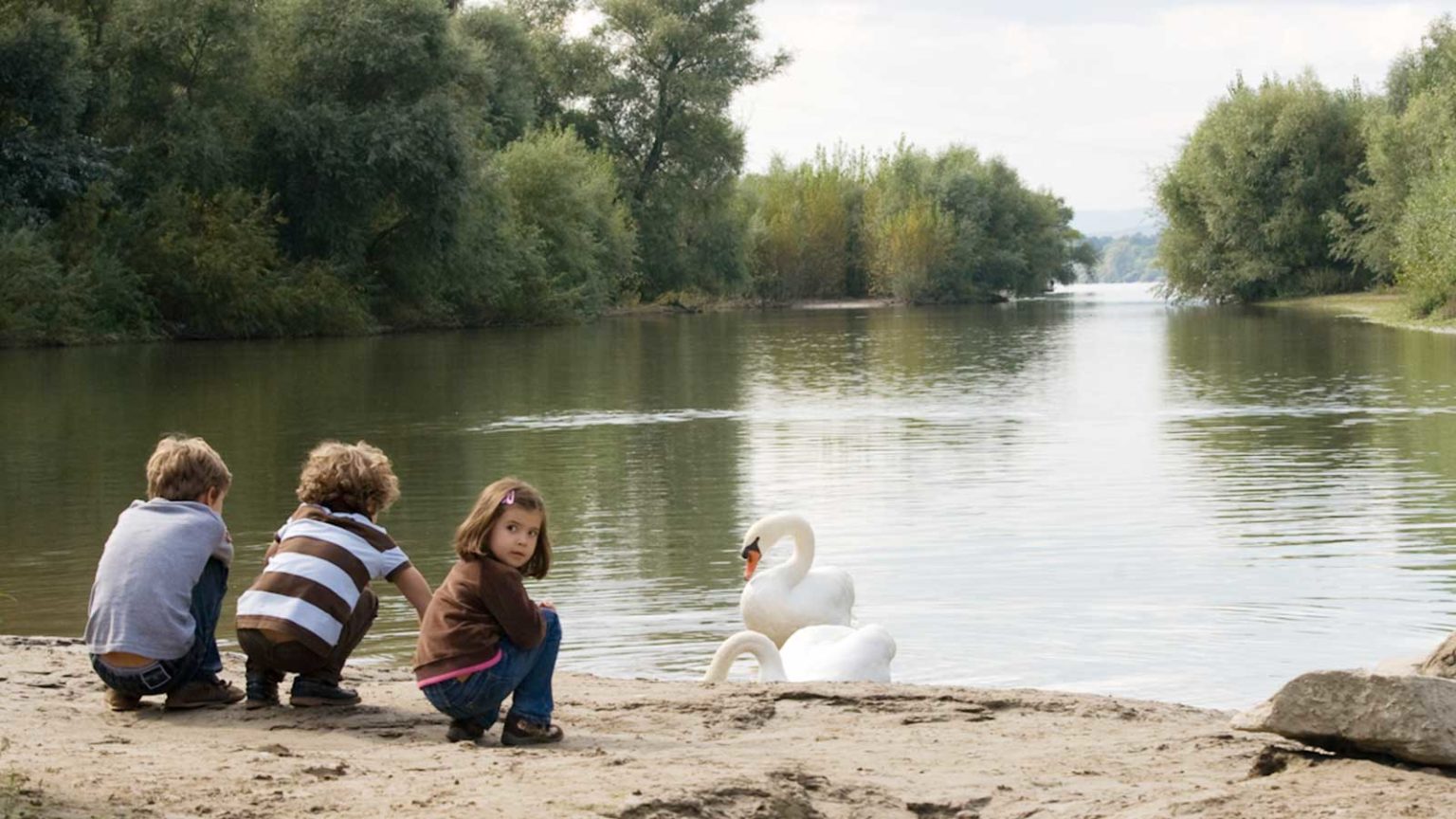 Rettbergsaue mattiaqua